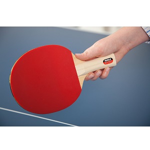 ⇒ Meilleure raquette de ping pong : quel modèle choisir ? 2024