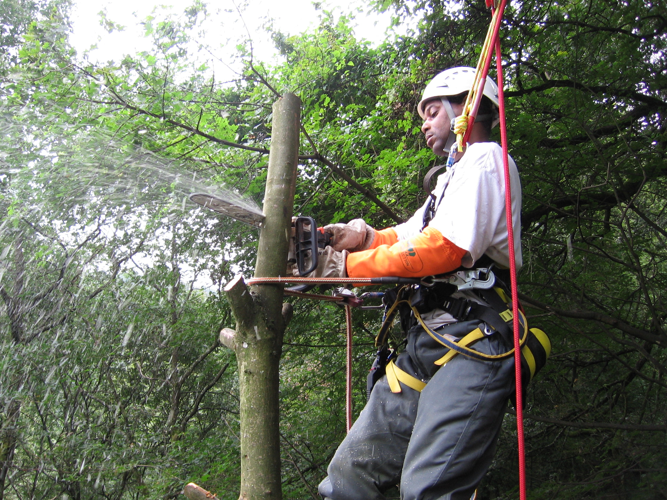 kit élagage avec longe armée matériel élagueur arboriste grimpeur baudrier  corde